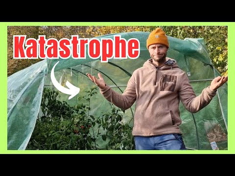 Das sagt Euch kein HERSTELLER😡 1 Jahr mit meinem Foliengewächshaus.