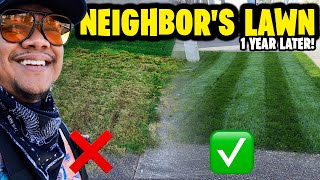 Neighbor's Lawn 1 year after full SPRING RENOVATION ~ Before & After Results!