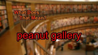 What does peanut gallery mean?
