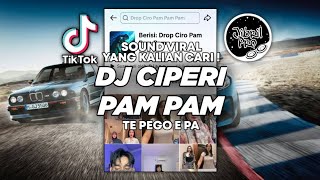 Download lagu DJ CIPERI PAM PAM PAM TIKTOK VIRAL PLAT KT TERBARU 2025 ! Jibril Pro Version mp3