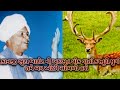 Kanji Bhuta Barot Kasturi Murg Lok Varta Adbhut શ્રી કાનજી ભુટા બાર�