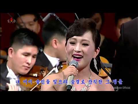 Band of State Affairs Commission - Following Your Affection (그 정을 따르네)