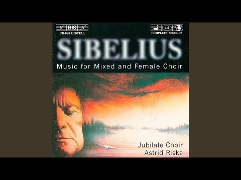 Carminalia, JS 51c (Version for Female Chorus & Piano): I. Ecce novum gaudium