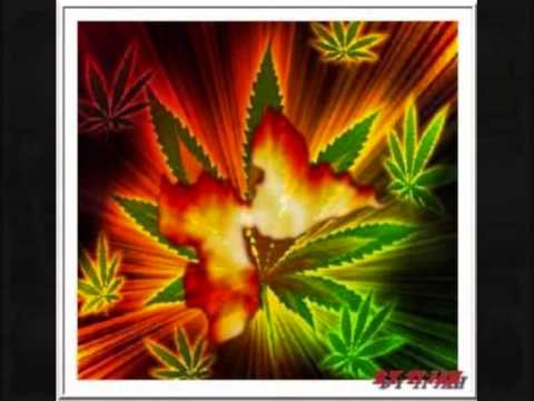 Welcome To Gwada Présenté Par Crewyx Misique Gwada Hold Yuh.