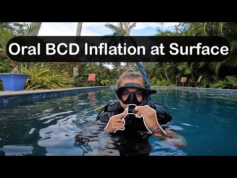 How to Orally Inflate your BCD at the Surface  - PADI Open Water Diver, Confined Water #1