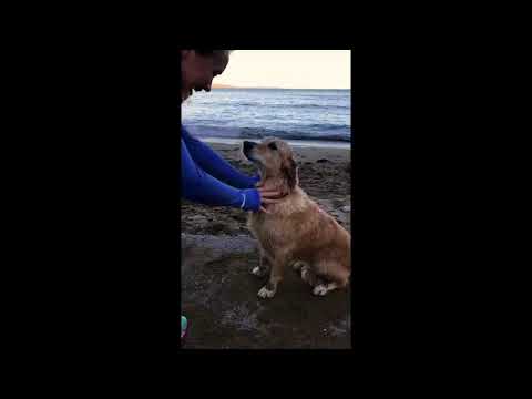 Life is better on the water