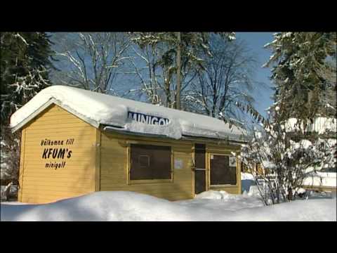 Om boende i norra Norrköping - Svensk Fastighetsförmedling