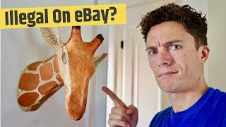24 Weird Things You Cannot Buy or Sell On eBay!