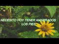 Soda Stereo - Planta (letra)