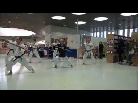 Okinawan Matayoshi Kobudo Demonstration in Finland
