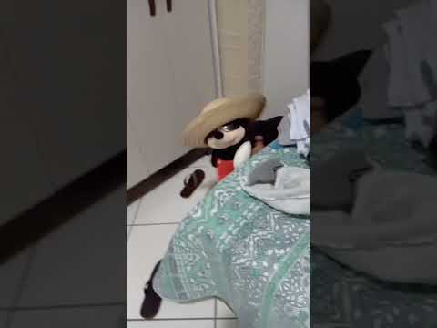 Mickey boladão deixa baixo