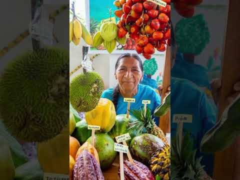 Canción a la Parroquia Rosa Florida en Sucumbios.