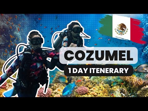 First Time Scuba Diving at Chankanaab Park | Cozumel Mexico 