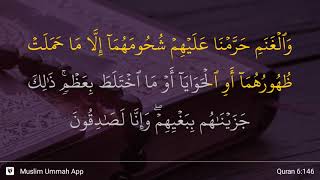 Download lagu Al-An'am ayat 146 mp3