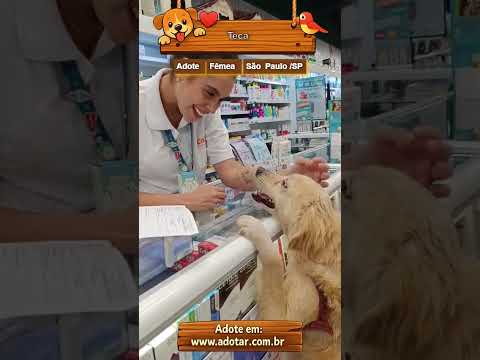 Vídeo de Teca