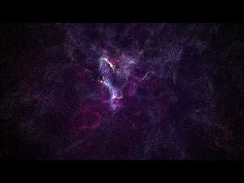 Deep Down Wise - Fallen Blossoms