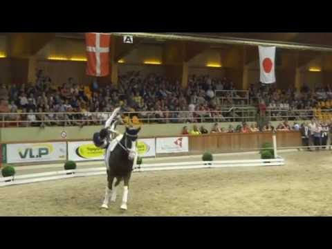 Final Thomas Brüsewitz CVI 3* at CVI Belgium 2016