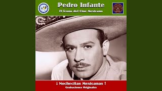 Golondrina de ojos negros