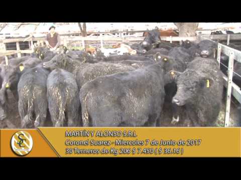 07-06-17 - Venta de Macho - Martin y Alonso S.R.L. - C.Suarez