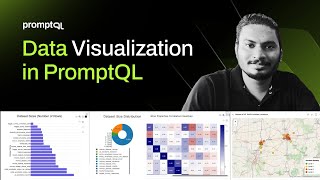 Preview of Data Visualization in PromptQL