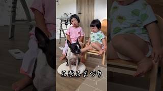 さすがにこの場から立ち去る犬💦 【こむこまつり】 #shorts