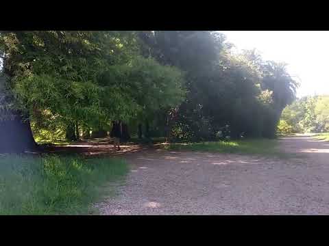 Ernesto Díaz, Alessandro Podestá y Guzmán Rivero - Un río aún sin nombre