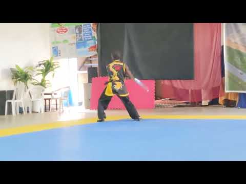 [2023] Jing WU Fils - taolu highlights