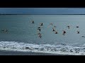 Lusine Icl ~ Language Barrier
