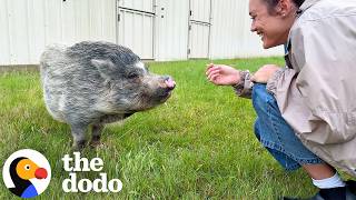 Meet The Rescued Animals Who Make This 1,400-Acre Sanctuary So Special | The Dodo