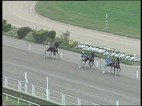 Trotto 11/10/2016 - 1ª prova di qualifica