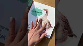 Тактильді-дыбысты танымдық кітап. Ауылда