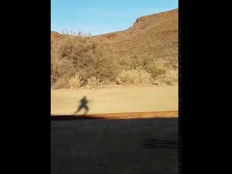 ElectroNative, shadancers... (18th April 2020)