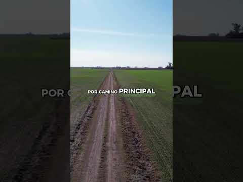 Acebal  - 54Ha Agrícolas