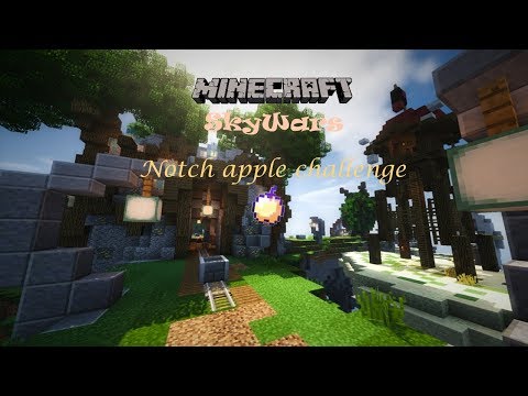 Notch apple challenge (minecraft skywars)