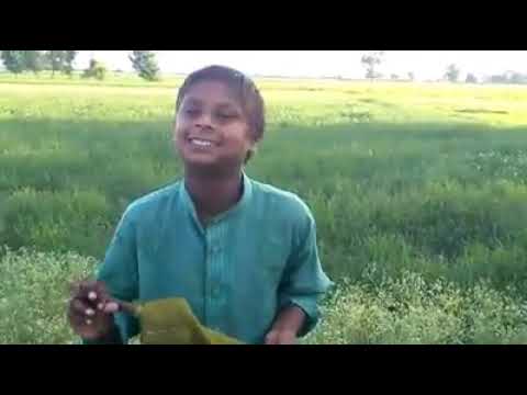 Punjabi funny tapy