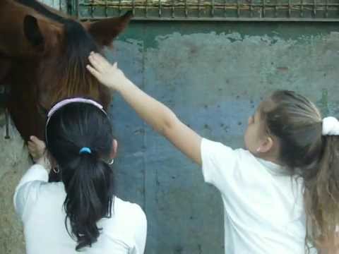 Ippodromo Di Agnano 2