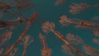 KİTARO - AURA