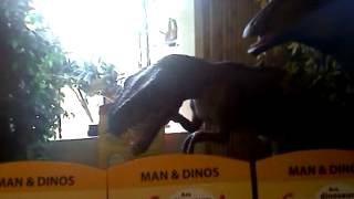 preview picture of video 'Cabazon Dinosaur Exibit'