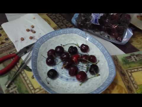 download lagu mp3 mp4 Cherry Seeds For Sale, download lagu Cherry Seeds For Sale gratis, unduh video klip Cherry Seeds For Sale