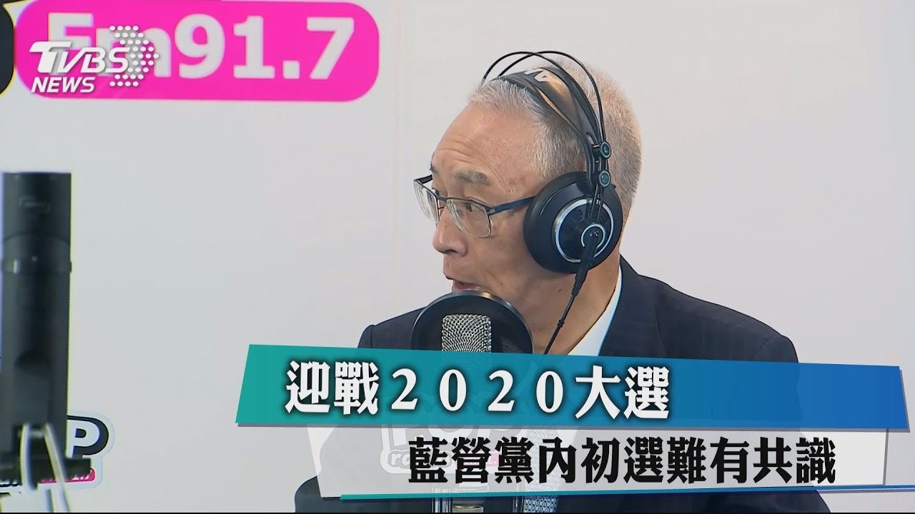 迎戰2020大選 藍營黨內初選難有共識
