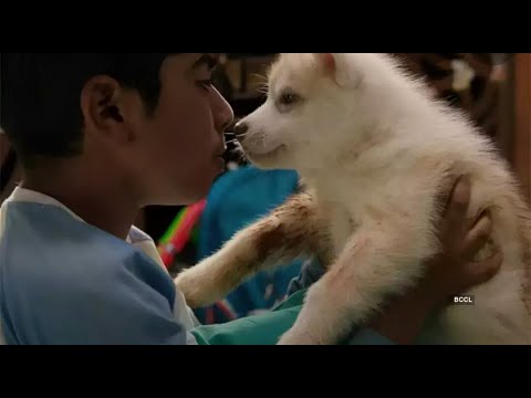 Oh My Dog Movie Review