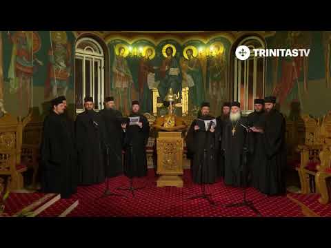 UNDE STEAUA LUMINEAZĂ - Părintele Ghelasie Țepeș și Obștea Mănăstirii Sighișoara (Colinde)