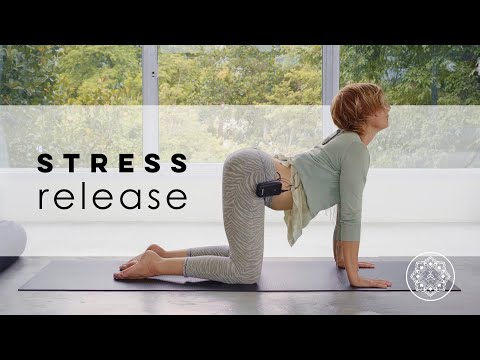 30-Min Yoga for Vagus Nerve Activation