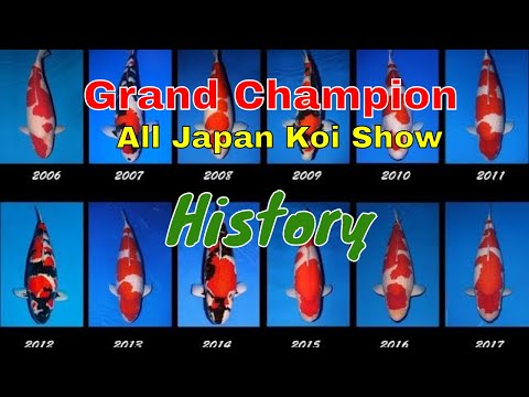 [History] Grand Champion All Japan Koi Show !!