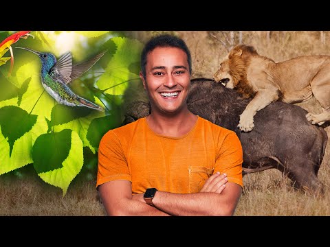 Conceitos Básicos da ECOLOGIA | Prof. Paulo Jubilut