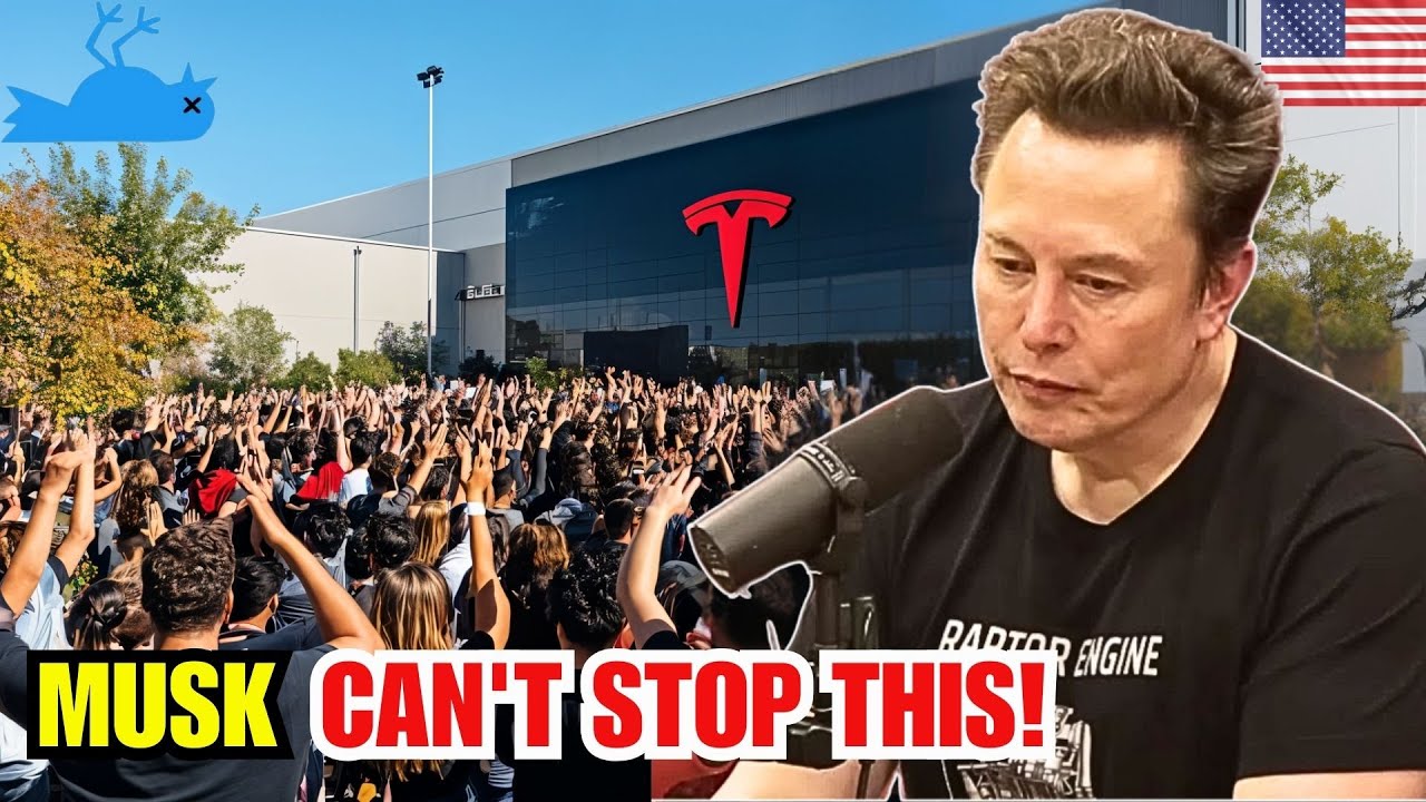 Top 5 STATES Collapsing Fast as Elon Musk’s Empire Crashes – Tesla & Twitter X Employees Panic