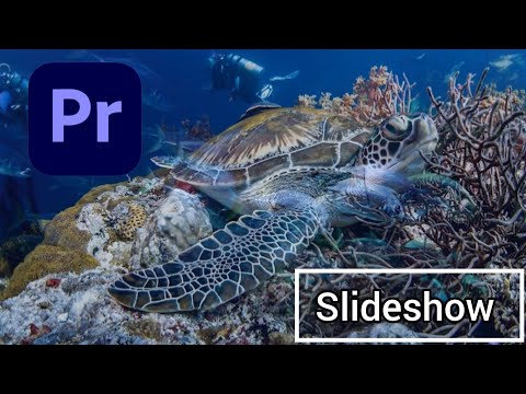 BEACH SLIDESHOW | PREMIERE PRO