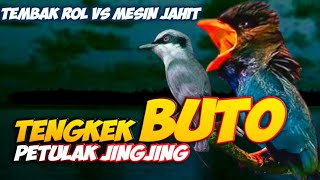 Download lagu MASTERAN SUPER MESING JAHIT PETULAK JINGJING VS TENGKEK BUTO POWER NEMBAK || TENGKEK BUTO JINGJING mp3