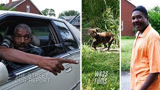 Hope For Paws Scared Abandoned Puppy - Look Who's Keeping Her Secret! Ep #2 The Street Dog Report