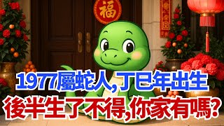 1977年屬蛇人，丁巳年出生，後半生「了不得」！你家有嗎？#屬蛇 #1977年屬蛇 #丁巳年 #生肖 #命理 #運勢 #財運 #後半生  #貴人 #風水 #算命 #轉運